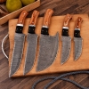 Handmade Damascus Chef Knives Set (5pieces)