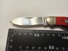 Rough Ryder Canoe Red Bone 2 Blade pocket knife 