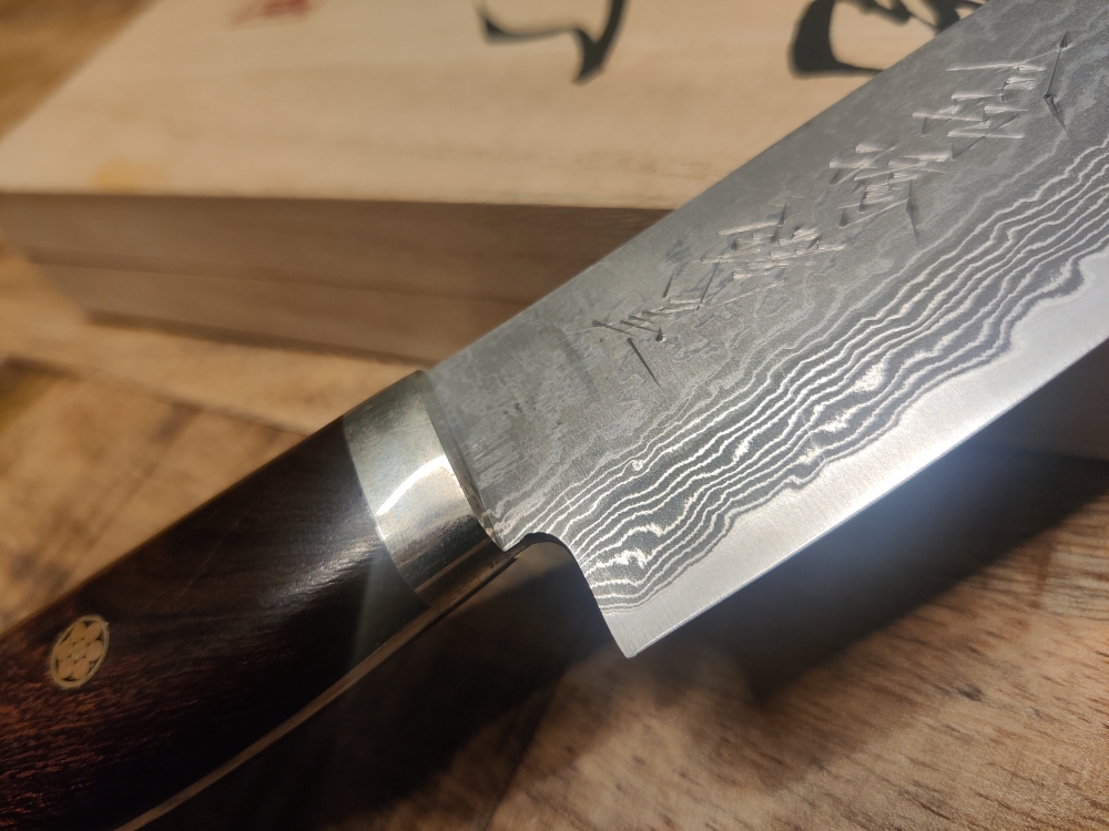 Shigeki Tanaka SG2 Damascus 210mm Sujihiki, Ironwood Western Handle