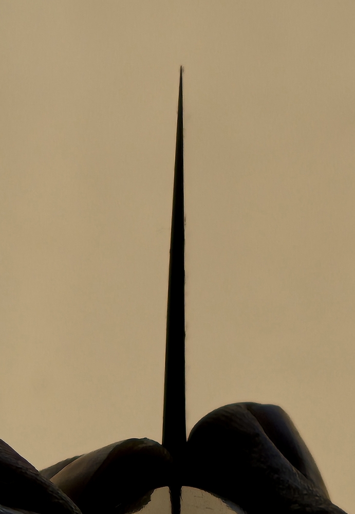 Masamoto KS Gyuto 240mm