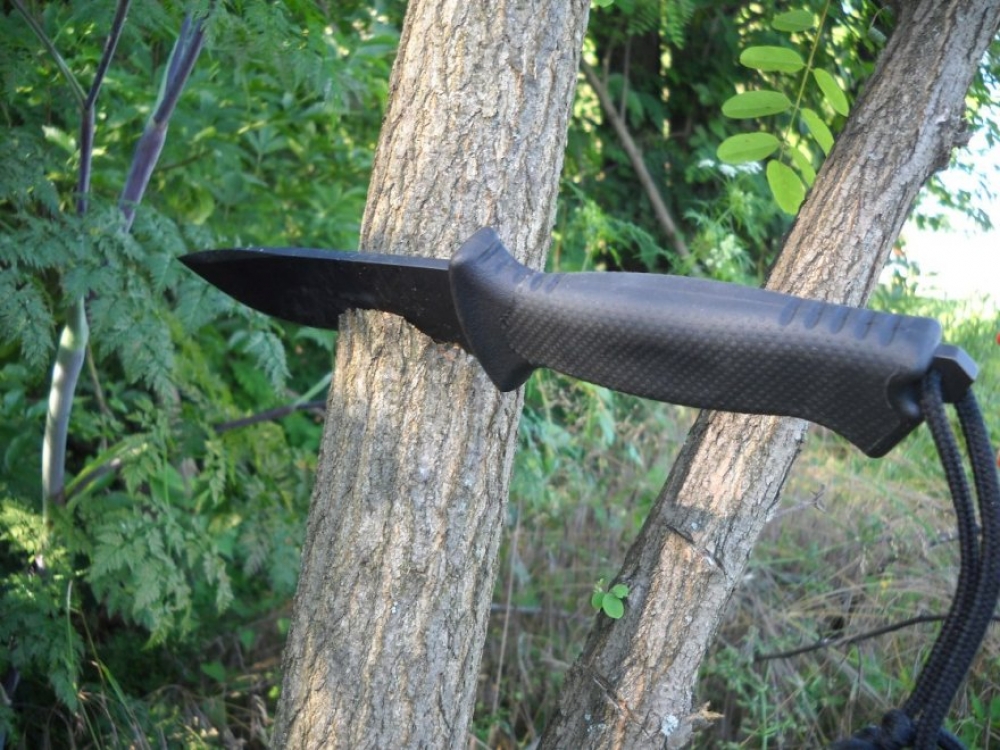 Gerber prodigy