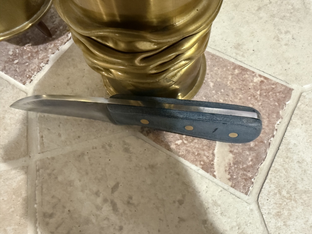Hand Made Carbon Steel Full Tang Fixed Blade Shop Knife Made from a File
