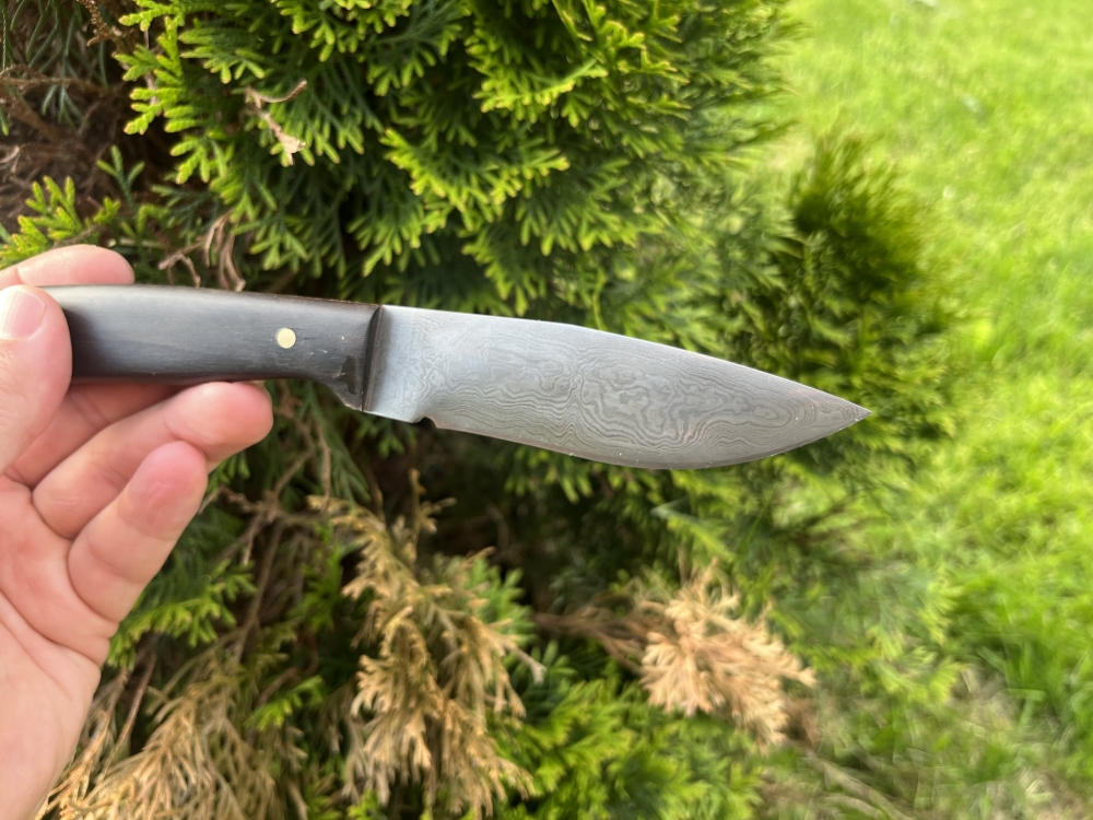 Suki hunting knife high carbon coreles