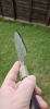 Sakai Kikumori Minamo ATS-34 225mm Kiritsuke 