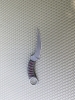 Bastinelli Mako Fixed Blade - Blade Show 2024 Special