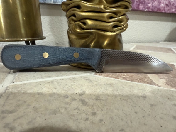 Hand Made Carbon Steel Full Tang Fixed Blade Shop Knife Made from a File