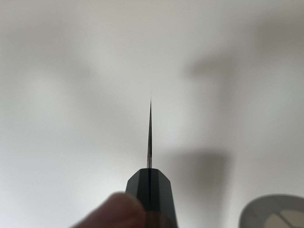 Myojin Riki Seisakusho SG2 Gyuto 240 mm