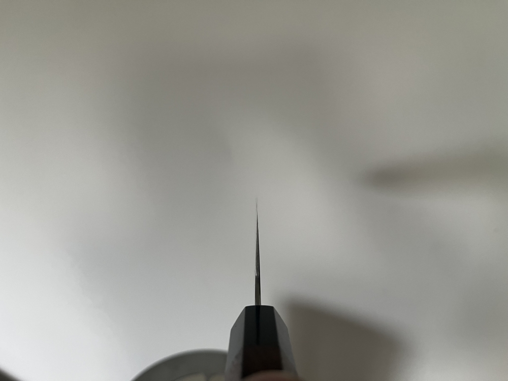Sukenari ZDP-189 gyuto 270 mm