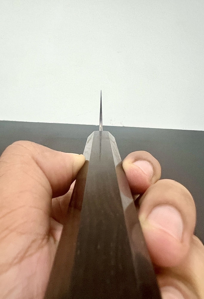 Brand New Myojin Riki SG2/R2 Seisakusho Gyuto 210mm