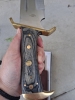 Timber Rattler Bowie