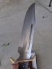 Timber Rattler Bowie