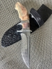 Collectors knife SEMPER - FIDIULS - 7 SUB HILT MICHO