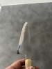 Hatsukokoro Yoake Blue 1 Gyuto 240 mm