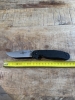 Ontario RAT-1