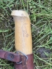 Vintage J. Martini Fishing Knife with Sheath