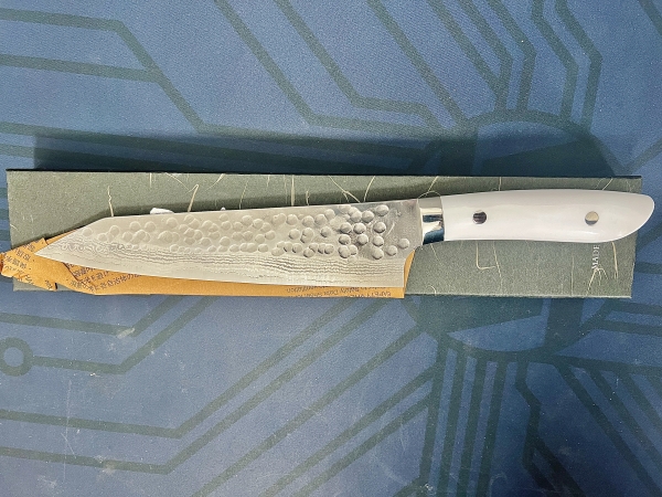 Takeshi Saji SRS13 Corian kiritsuke Gyuto 210 mm