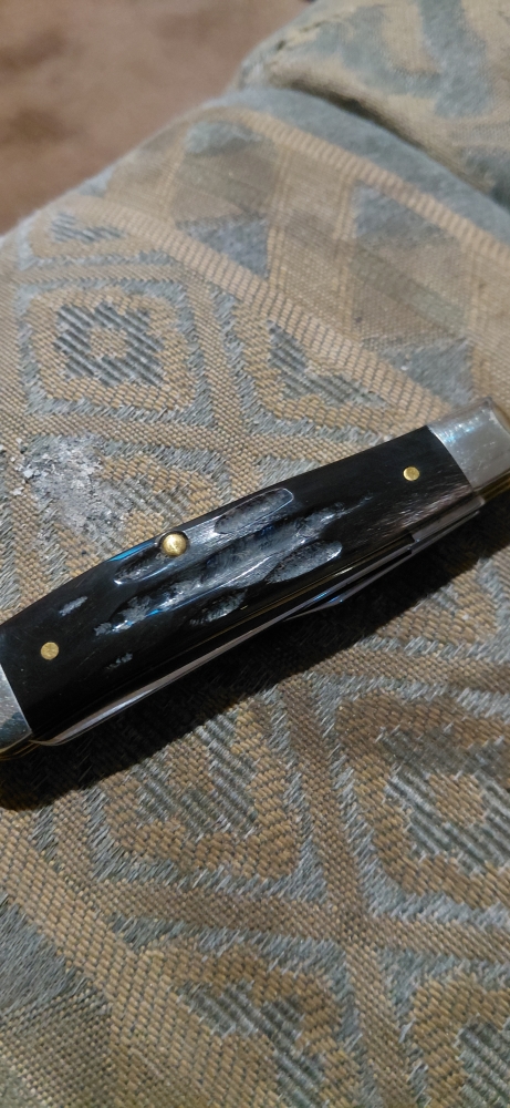 Case jigged buffalo horn mini trapper