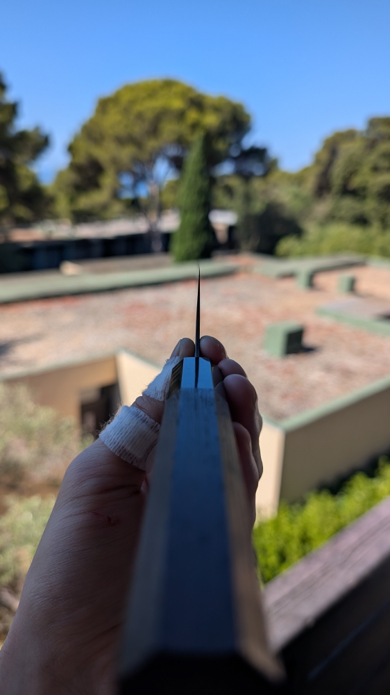 Nigara Hamono Anmon SG2 210mm K-tip