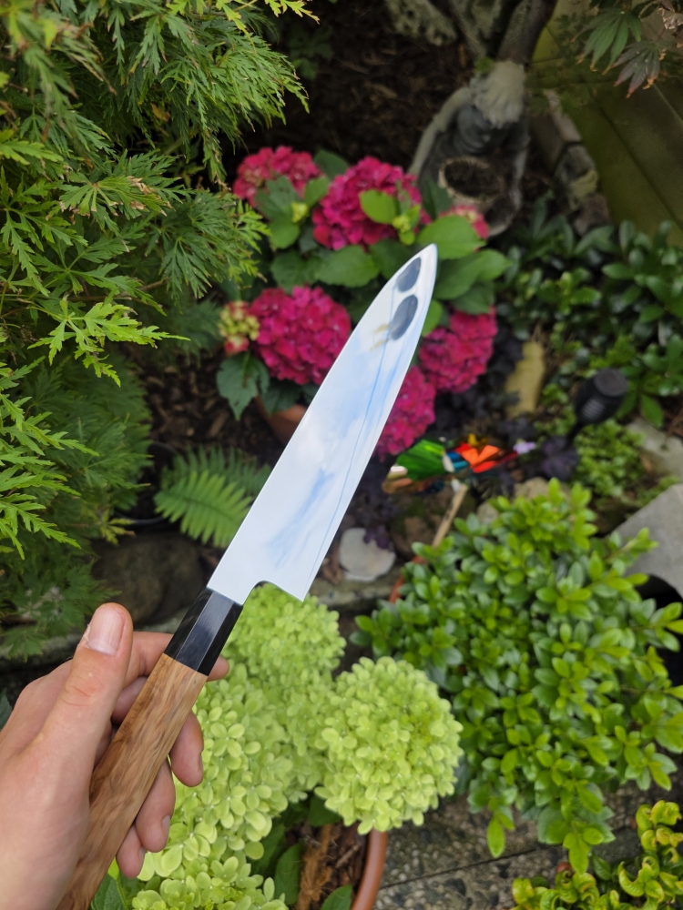 Yoshikazu ikeda gyuto 240mm 