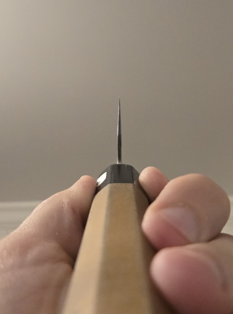 Teruyasu Fujiwara Maboroshi 210mm Gyuto