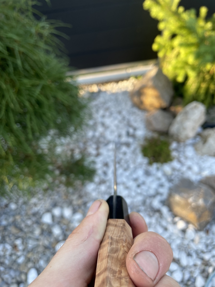 Hitohira Tanaka x Kyuzo Extra Height 240 Gyuto