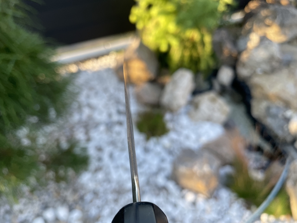 Hitohira Tanaka x Kyuzo Extra Height 240 Gyuto