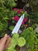 Yoshikazu ikeda gyuto 240mm 