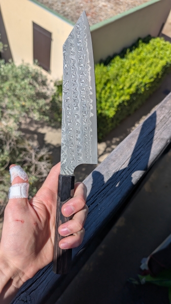 Nigara Hamono Anmon SG2 210mm K-tip