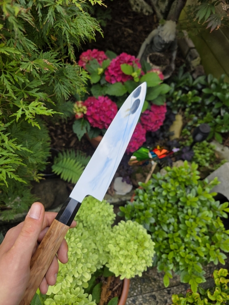 Yoshikazu ikeda gyuto 240mm 