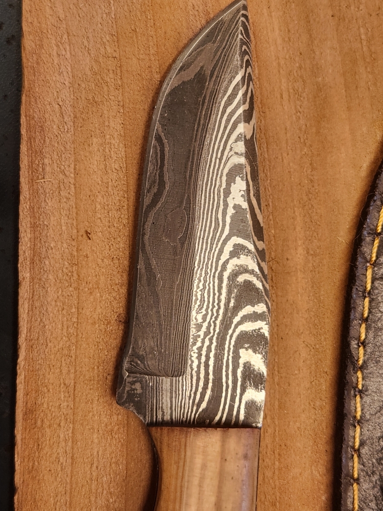 8 Inch Damascus Fixed Blade Knife W/ Sheath