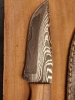 8 Inch Damascus Fixed Blade Knife W/ Sheath