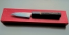 Yoshiaki Fujiwara Petty