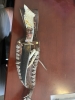 LINDA PETREE DECORATED SCRIMSHAW HUNTING KNIFE