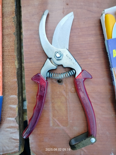 Garden scissors