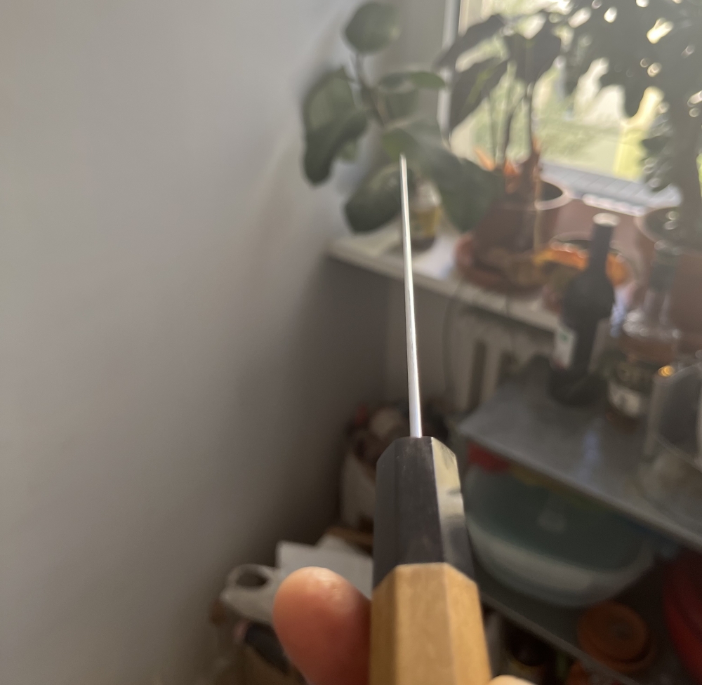 Ashi Hamono Ginga 240mm Wa Sujihiki