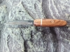Skol Anglo Saxon Seax