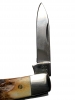 W.R. Case & Sons Stockman Stag Knife, 53032 SS