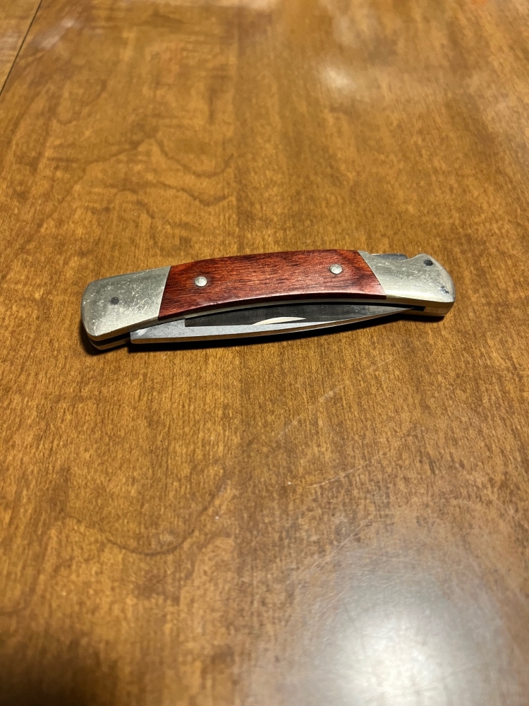 Buck 501 Squire Lockback Folding Knife