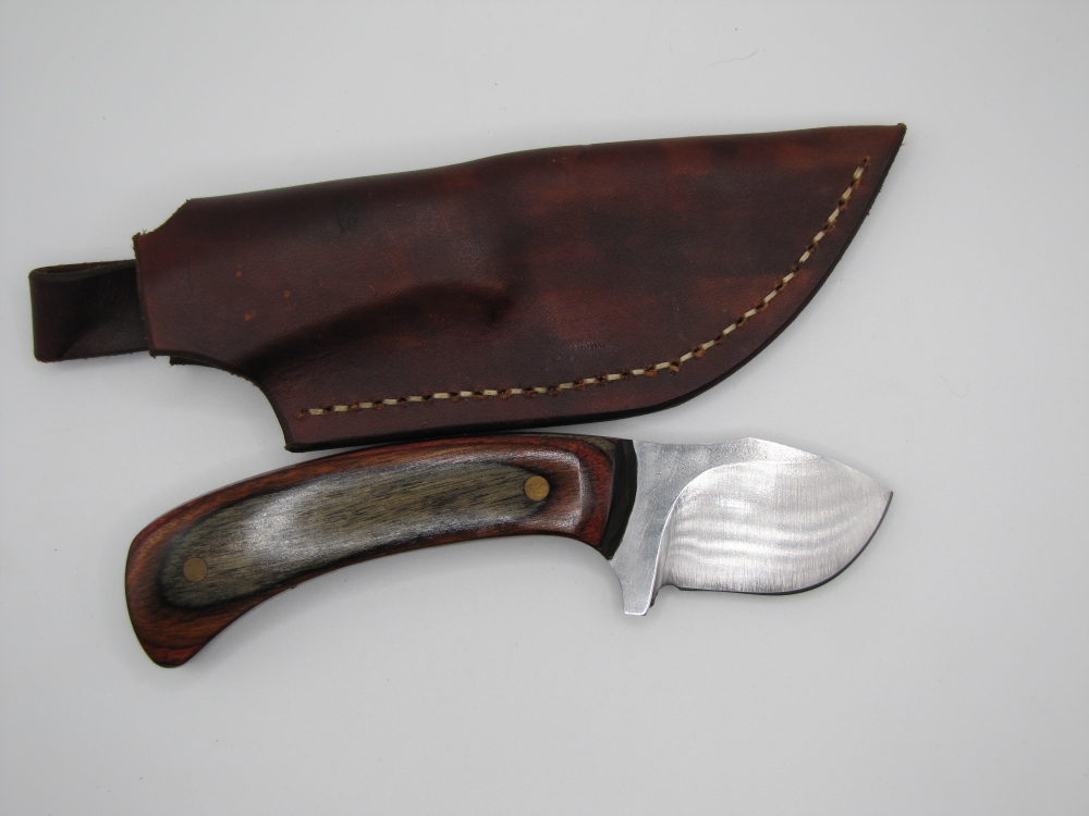 1095 high carbon steel drop point big belly skinner with a red walnut black dymalux handle