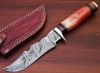 New 10\" Damascus Hunting Knife, Camel Bone Handle, Brass Guard