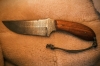 Handmade 200 Layer Damascus field knife