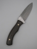 1095 highcarbon steel utility drop point knife with a golden honeycomb epoxy handle