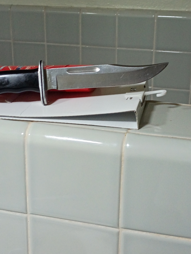 Buck 119 fixed blade 