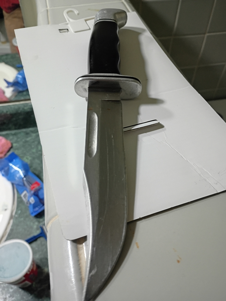 Buck 119 fixed blade 