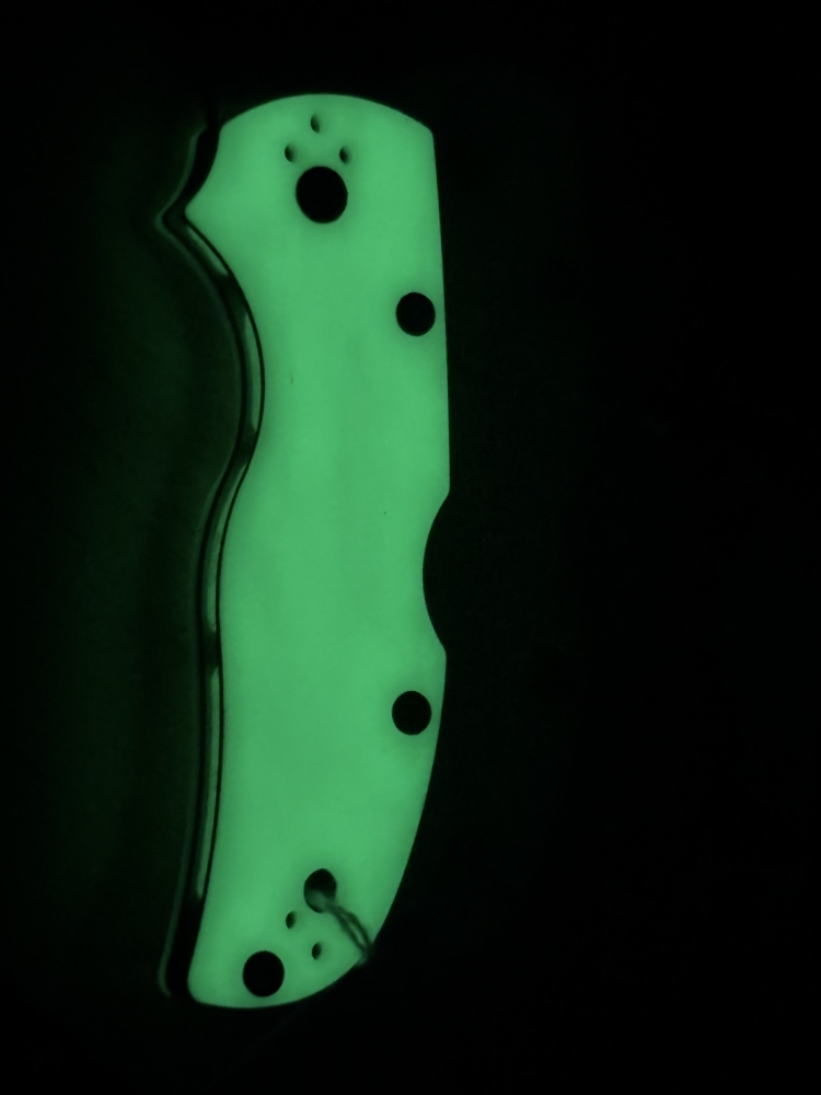 Spyderco Native 5 Moonglow C41MP5