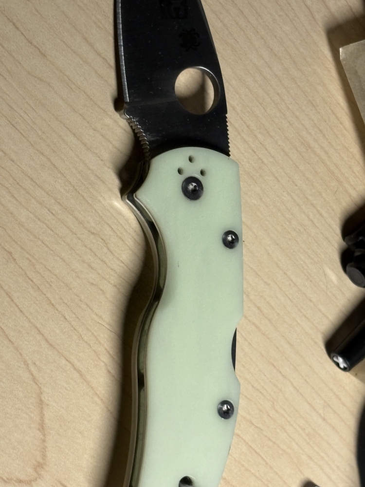 Spyderco Native 5 Moonglow C41MP5