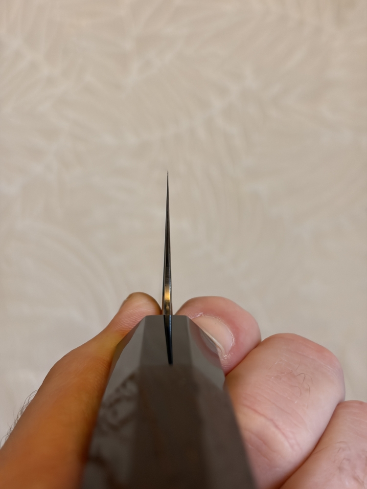 Tetsujin Aogami#2 240mm k-tip Gyuto