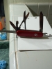 Swiss army knife victorinox sharp really Sharp 