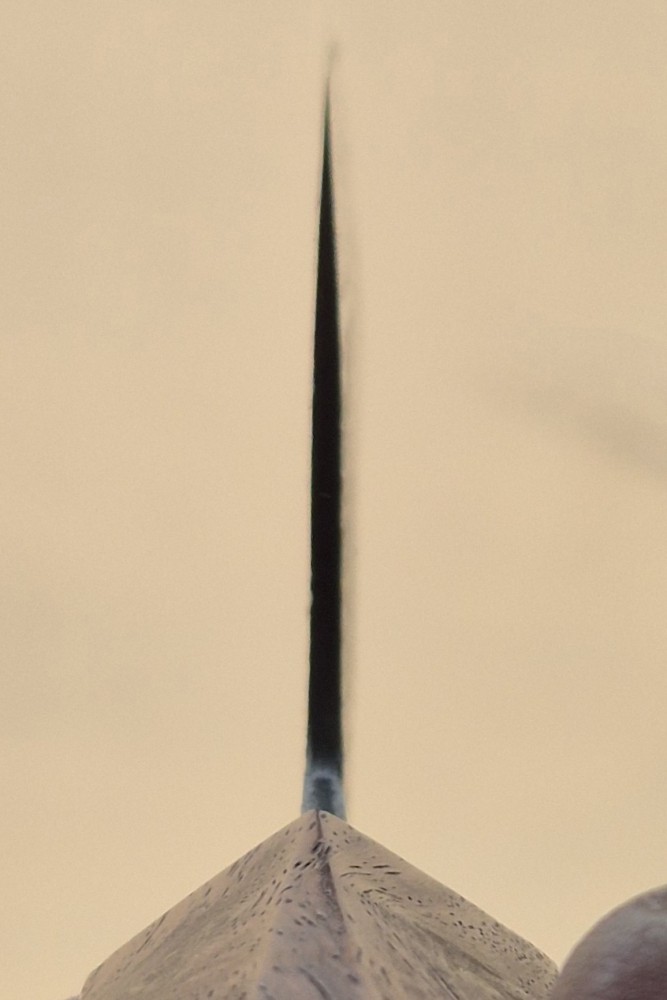 Isamitsu Shirogami #1 Gyuto 225mm Fine Finish