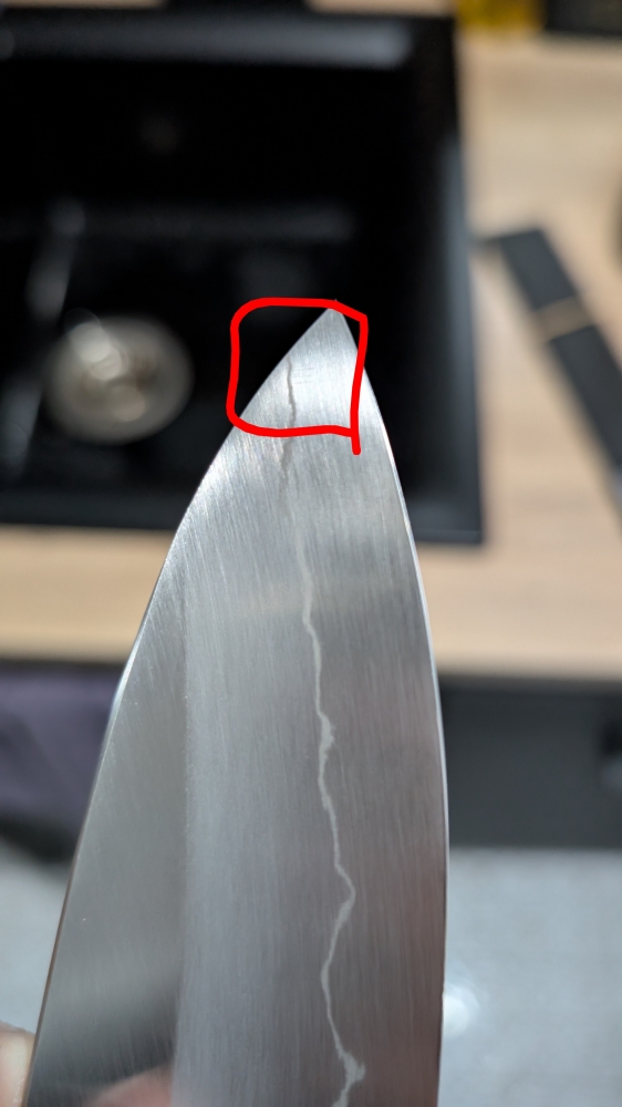 Hitohira Kikuchiyo X Ren 240mm Ginsan